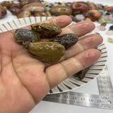 Rare Alxa Natural Gobi Agate Meridians Stripe Violet Flower Veins