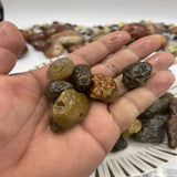 Rare Alxa Natural Gobi Agate Meridians Stripe Violet Flower Veins