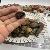 Rare Alxa Natural Gobi Agate Meridians Stripe Violet Flower Veins