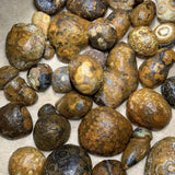 Nature Stone Crystal Eye Stone Alxa Eye Stone Ornaments Stone