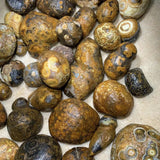 Nature Stone Crystal Eye Stone Alxa Eye Stone Ornaments Stone