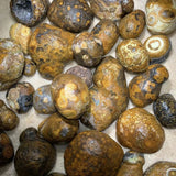 Nature Stone Crystal Eye Stone Alxa Eye Stone Ornaments Stone