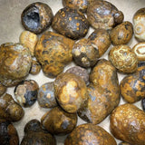 Nature Stone Crystal Eye Stone Alxa Eye Stone Ornaments Stone