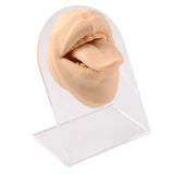 1Pcs Soft Silicone Model Mouth Tongue Model Puncture Training Tool Display