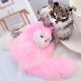 img_6284205