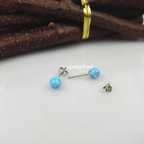 (1pair/lot)2020 5mm Blue/Fire Opal Ball Silver Women Earrings