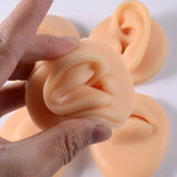 Flexible Human Ear Model Soft Silicone Display Teaching Tool