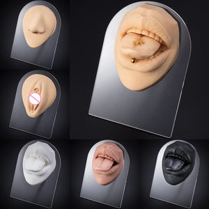 Soft Silicone Tongue Model Display for Jewelry Piercing Simulation
