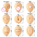 Soft Silicone Tongue Model Display for Jewelry Piercing Simulation