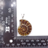 Natural Crystal Conch slice pendant Guardian Gemstones and Couple decoration