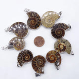 Natural Crystal Conch slice pendant Guardian Gemstones and Couple decoration