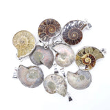 Natural Crystal Conch slice pendant Guardian Gemstones and Couple decoration