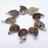 Natural Crystal Conch slice pendant Guardian Gemstones and Couple decoration