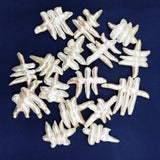 1pc Natural Freshwater Baroque Pearl Fishbone Loose Beads for DIY Jewelry
