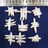 1pc Natural Freshwater Baroque Pearl Fishbone Loose Beads for DIY Jewelry