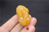Natural Huanglong Jade Money Pixiu Dragon Pendant Necklace