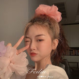 Oversized Organza Hair Ring Head Rope Elastic Hair Rope
