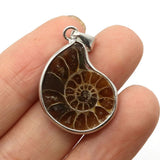 Natural Stone Shell Ammonite Pendant Necklace Charm Jewelry DIY 10-35mm