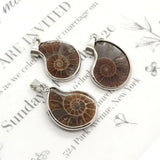 Natural Stone Shell Ammonite Pendant Necklace Charm Jewelry DIY 10-35mm