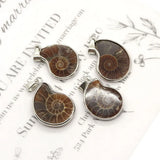 Natural Stone Shell Ammonite Pendant Necklace Charm Jewelry DIY 10-35mm