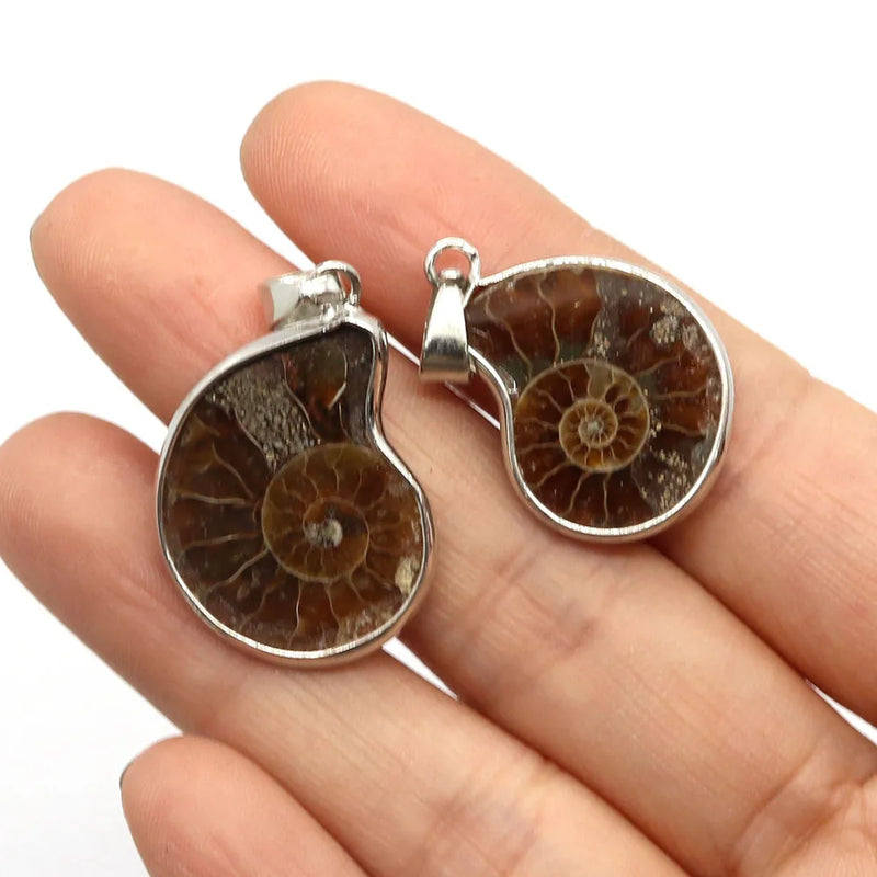 Natural Stone Shell Ammonite Pendant Necklace Charm Jewelry DIY 10-35mm