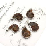 Natural Stone Shell Ammonite Pendant Necklace Charm Jewelry DIY 10-35mm