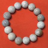 Natural Coral Ammonite Bead Bracelet Retro Minimalist Women's Jewelry