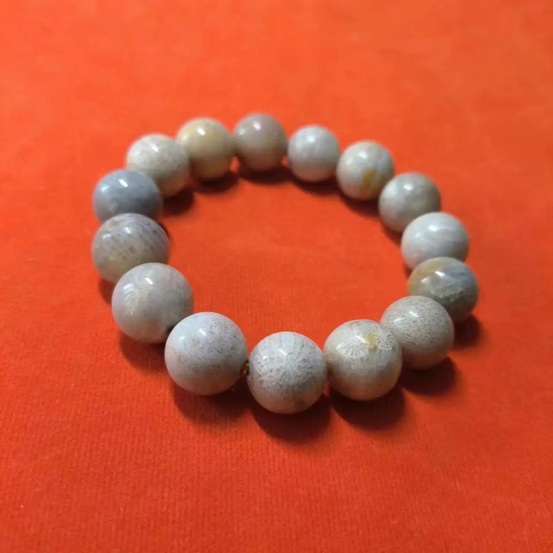 Natural Coral Ammonite Bead Bracelet Retro Minimalist Women's Jewelry