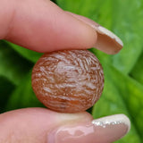 Natural Old Agate Dzi Ancient Beads, Rare Gem Jewelry