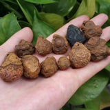 Natural Nine Eyes Shale Mengdzi Beads Khaki Rough Stone Pendant