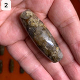 Natural Jade Conch Dzi Beads Mysterious Texture Amulet Luster Lubrication
