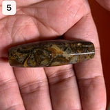 Natural Jade Conch Dzi Beads Mysterious Texture Amulet Luster Lubrication