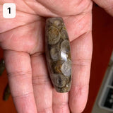 Natural Jade Conch Dzi Beads Mysterious Texture Amulet Luster Lubrication