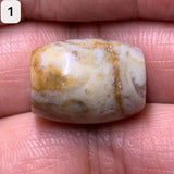 Natural Jade Conch Dzi Beads Amulet Beads Gem Jewelry