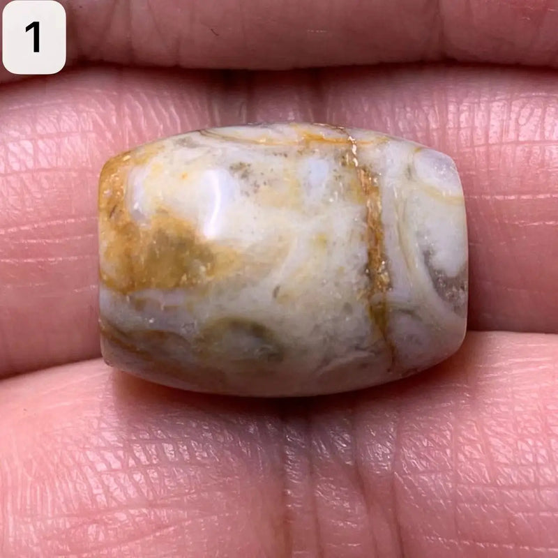Natural Jade Conch Dzi Beads Amulet Beads Gem Jewelry