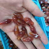 Natural Conch Tee Buddha Gead Dzi Beads Orange Tones Carved Agate Amulet Jewelry