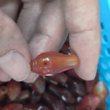 Natural Conch Tee Buddha Gead Dzi Beads Orange Tones Carved Agate Amulet Jewelry