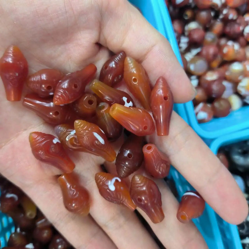 Natural Conch Tee Buddha Gead Dzi Beads Orange Tones Carved Agate Amulet Jewelry