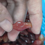 Natural Conch Tee Buddha Gead Dzi Beads Orange Tones Carved Agate Amulet Jewelry