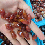 Natural Conch Tee Buddha Gead Dzi Beads Orange Tones Carved Agate Amulet Jewelry