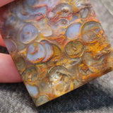 Natural Old Mine Snail Necklace Pendant Safe Geometric Pattern Sweater Chain