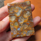 Natural Old Mine Snail Necklace Pendant Safe Geometric Pattern Sweater Chain