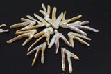 Freshwater Pearl Loose Beads White/Pink DIY Jewelry
