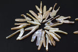 Freshwater Pearl Loose Beads White/Pink DIY Jewelry