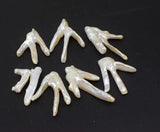 Freshwater Pearl Loose Beads White/Pink DIY Jewelry