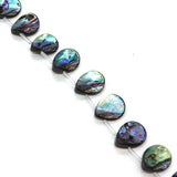 Natural Abalone Shell Loose Beads DIY Necklace Bracelet Accessories