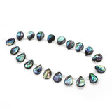 Natural Abalone Shell Loose Beads DIY Necklace Bracelet Accessories