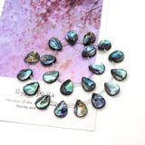 Natural Abalone Shell Loose Beads DIY Necklace Bracelet Accessories