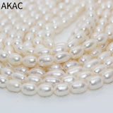 Natural Freshwater Rice Pearl Loose Beads 5*7mm 46-48 Beads/Set