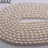 Natural Freshwater Rice Pearl Loose Beads 5*7mm 46-48 Beads/Set
